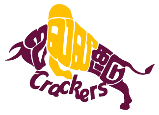 Best Crackers shop in sivakasi