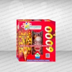 6000