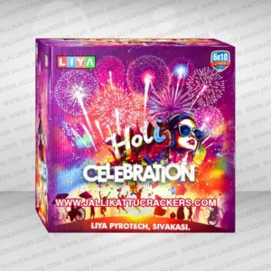 5X10 Holi Celebration