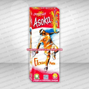 Flower Pot Asoka E